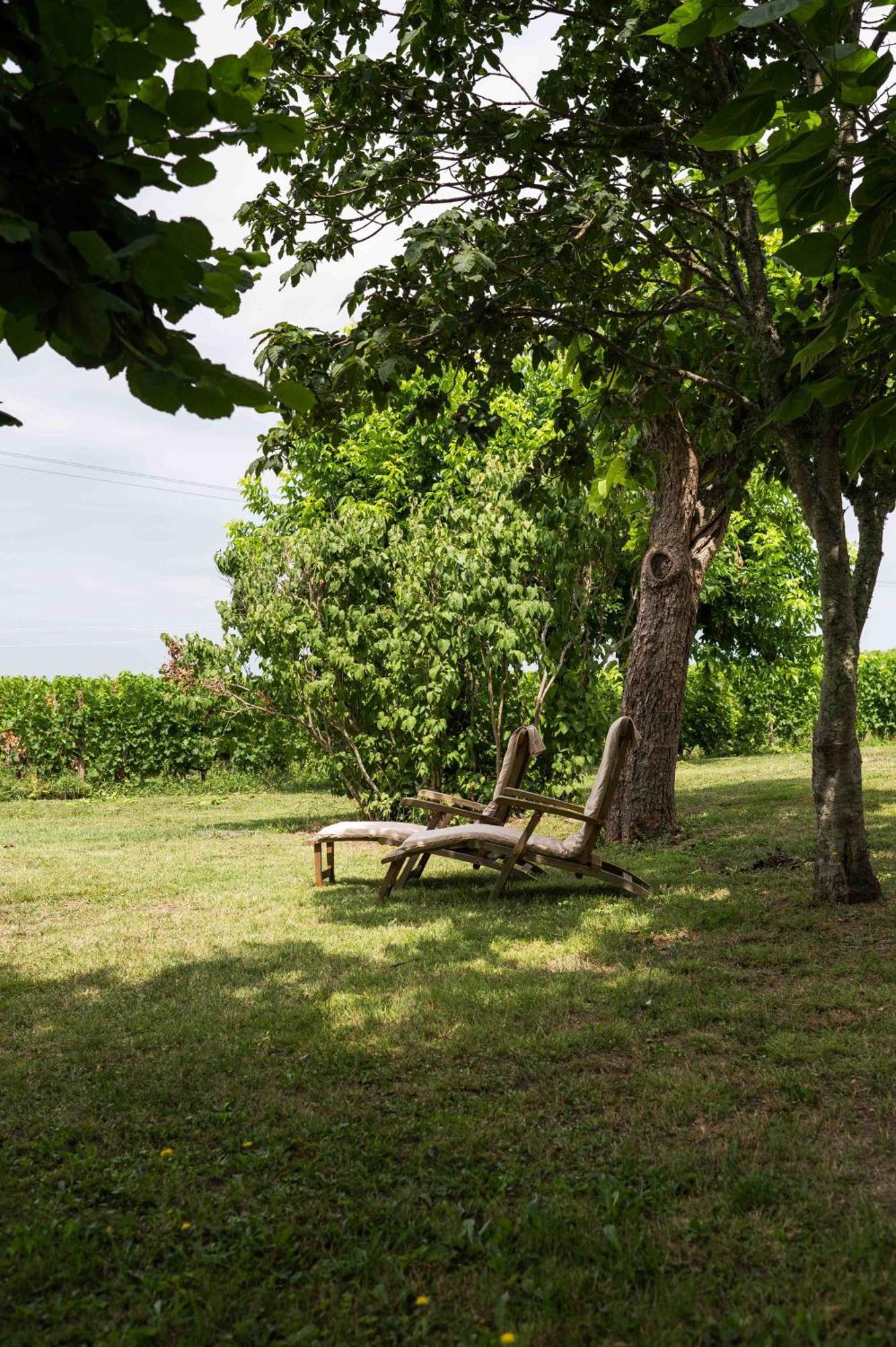 Clos De La Barbanne Montagne  Bagian luar foto