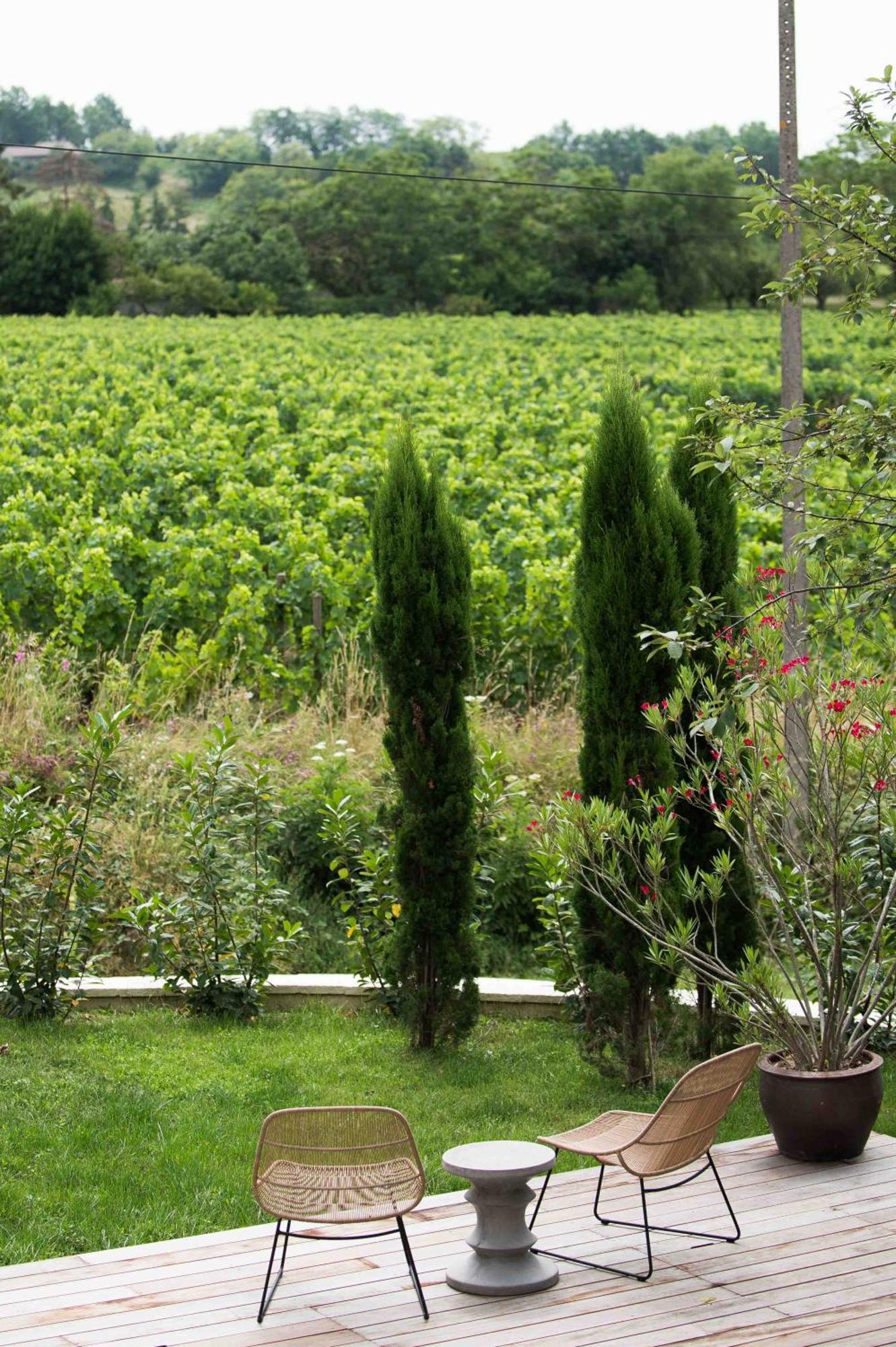 Clos De La Barbanne Montagne  Bagian luar foto